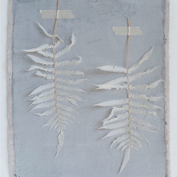 Creative Co Op Dried Cream Fern Bouquet - Picture 7 of 12